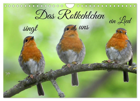 Das Rotkehlchen singt uns ein Lied (Wandkalender 2027 DIN A4 quer), CALVENDO Monatskalender