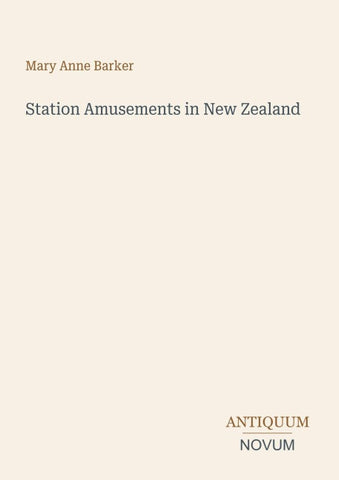 Station Amusements in New Zealand