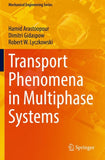 Transport Phenomena in Multiphase Systems