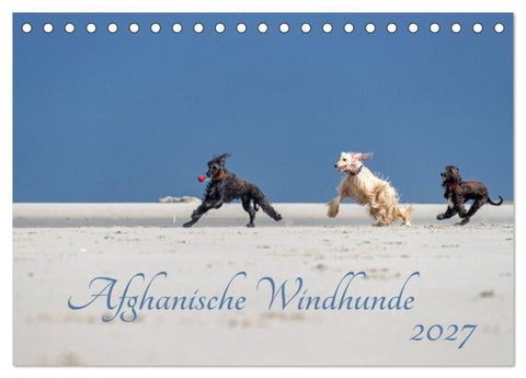 AFGHANISCHE WINDHUNDE 2027 (Tischkalender 2027 DIN A5 quer), CALVENDO Monatskalender