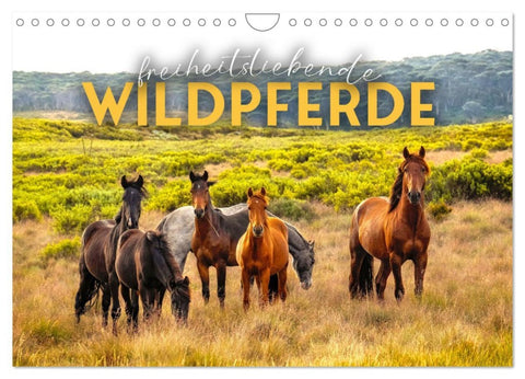 Freiheitsliebende Wildpferde (Wandkalender 2026 DIN A4 quer), CALVENDO Monatskalender