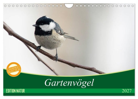 Gartenvögel (Wandkalender 2027 DIN A4 quer), CALVENDO Monatskalender
