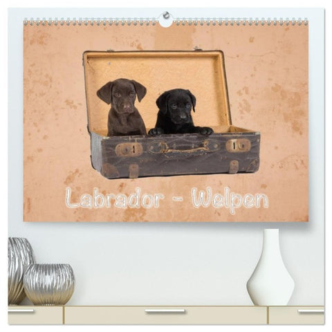 Labrador - Welpen (hochwertiger Premium Wandkalender 2027 DIN A2 quer), Kunstdruck in Hochglanz