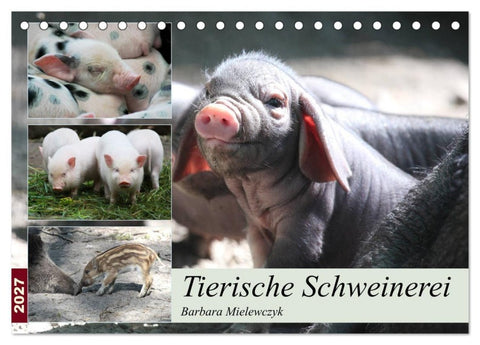 Tierische Schweinerei (Tischkalender 2027 DIN A5 quer), CALVENDO Monatskalender