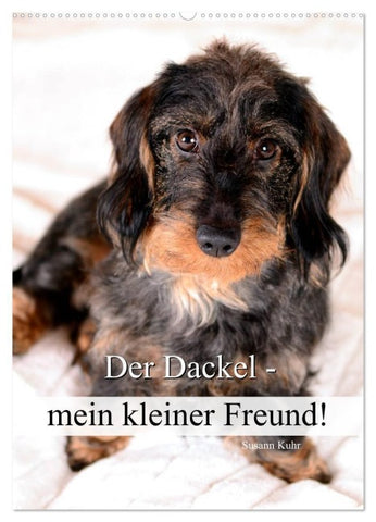 Der Dackel - mein kleiner Freund (Wandkalender 2027 DIN A2 hoch), CALVENDO Monatskalender