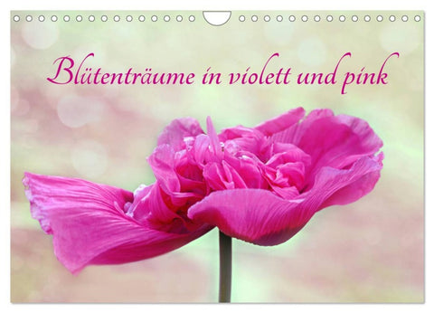 Blütenträume in violett und pink (Wandkalender 2026 DIN A4 quer), CALVENDO Monatskalender