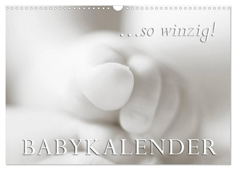 ...so winzig - Babykalender (Wandkalender 2026 DIN A3 quer), CALVENDO Monatskalender
