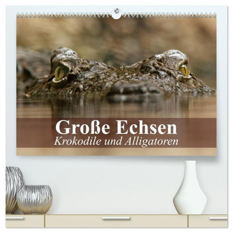 Große Echsen. Krokodile und Alligatoren (hochwertiger Premium Wandkalender 2026 DIN A2 quer), Kunstdruck in Hochglanz