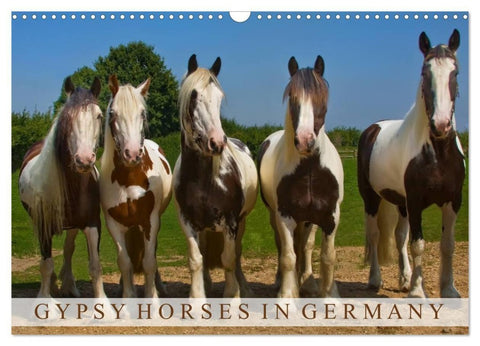 Gypsy Horses (Wandkalender 2027 DIN A3 quer), CALVENDO Monatskalender