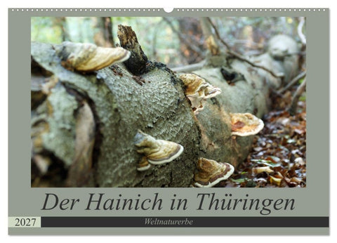 Der Hainich in Thüringen - Weltnaturerbe (Wandkalender 2027 DIN A2 quer), CALVENDO Monatskalender