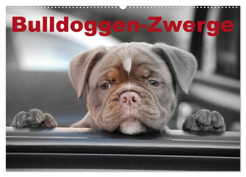 Bulldoggen-Zwerge (Wandkalender 2026 DIN A2 quer), CALVENDO Monatskalender