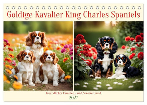Goldige Kavalier King Charles Spaniels (Tischkalender 2027 DIN A5 quer), CALVENDO Monatskalender