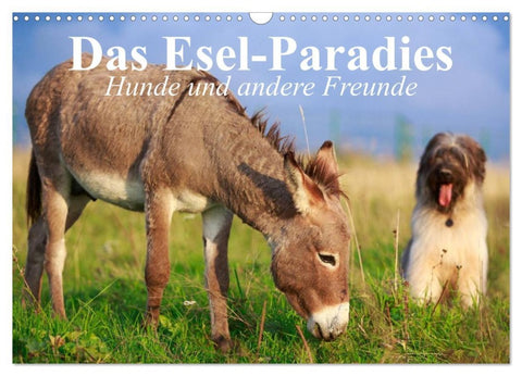 Das Esel-Paradies - Hunde und andere Feunde (Wandkalender 2026 DIN A3 quer), CALVENDO Monatskalender