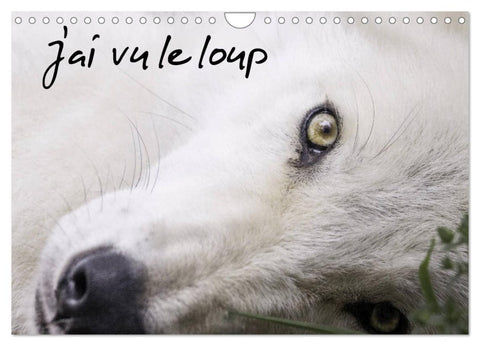 J'ai vu le loup (Calendrier mural 2027 DIN A4 vertical), CALVENDO calendrier mensuel