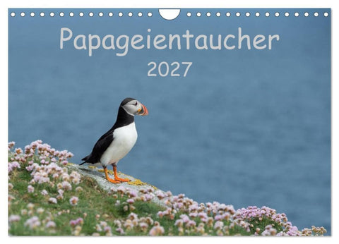 Papageientaucher 2027 (Wandkalender 2027 DIN A4 quer), CALVENDO Monatskalender
