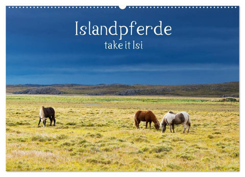 Islandpferde take it Isi (Wandkalender 2026 DIN A2 quer), CALVENDO Monatskalender