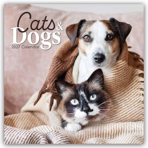 Cats and Dogs – Katzen und Hunde 2027 – 16-Monatskalender