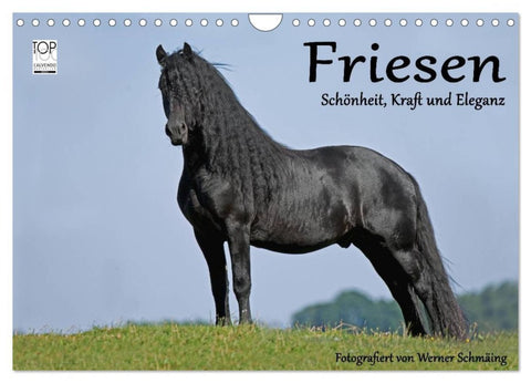 Friesen - Schönheit, Kraft und Eleganz (Wandkalender 2026 DIN A4 quer), CALVENDO Monatskalender
