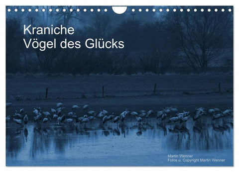 Kraniche (Wandkalender 2027 DIN A4 quer), CALVENDO Monatskalender
