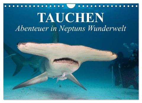 Tauchen - Abenteuer in Neptuns Wunderwelt (Wandkalender 2026 DIN A4 quer), CALVENDO Monatskalender