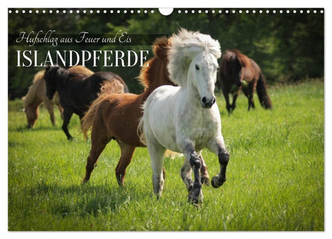 Islandpferde - Hufschlag aus Feuer und Eis (Wandkalender 2027 DIN A3 quer), CALVENDO Monatskalender