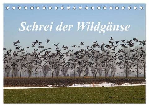 Schrei der Wildgänse (Tischkalender 2026 DIN A5 quer), CALVENDO Monatskalender