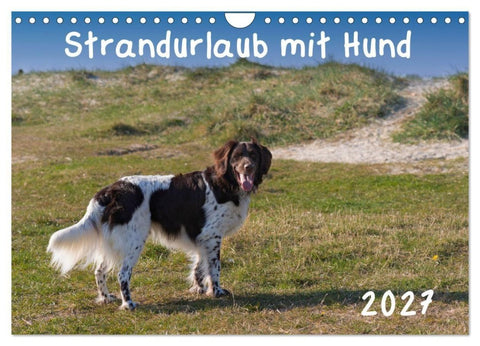 Strandurlaub mit Hund (Wandkalender 2027 DIN A4 quer), CALVENDO Monatskalender