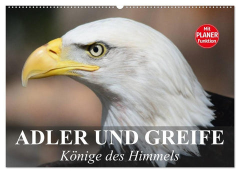 Adler und Greife. Könige des Himmels (Wandkalender 2027 DIN A2 quer), CALVENDO Monatskalender