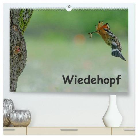 Wiedehopf (hochwertiger Premium Wandkalender 2026 DIN A2 quer), Kunstdruck in Hochglanz
