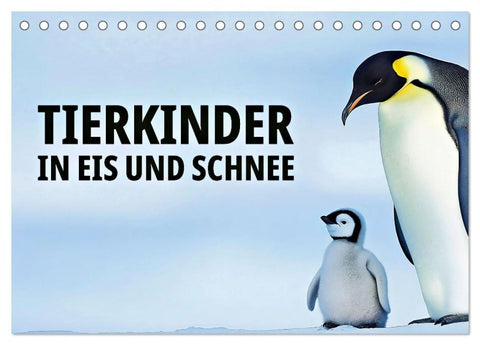 Tierkinder in Eis und Schnee (Tischkalender 2027 DIN A5 quer), CALVENDO Monatskalender