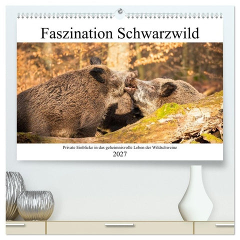 Faszination Schwarzwild (hochwertiger Premium Wandkalender 2027 DIN A2 quer), Kunstdruck in Hochglanz