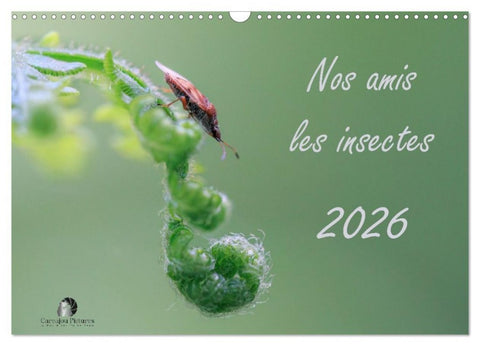 Nos amis les insectes (Calendrier mural 2027 DIN A3 vertical), CALVENDO calendrier mensuel