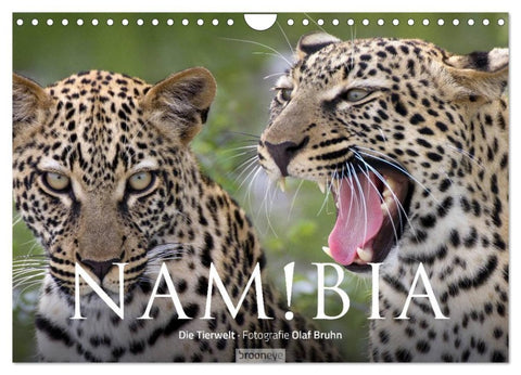 Namibia - Die Tierwelt (Wandkalender 2026 DIN A4 quer), CALVENDO Monatskalender