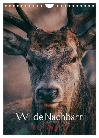 Wilde Nachbarn: Rotwild (Wandkalender 2027 DIN A4 hoch), CALVENDO Monatskalender