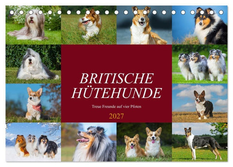Britische Hütehunde - Treue Freunde auf vier Pfoten (Tischkalender 2027 DIN A5 quer), CALVENDO Monatskalender