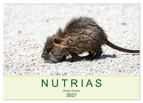 NUTRIAS - Pelzige Gesellen (Wandkalender 2027 DIN A2 quer), CALVENDO Monatskalender
