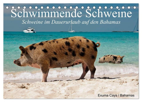 Schwimmende Schweine (Tischkalender 2027 DIN A5 quer), CALVENDO Monatskalender