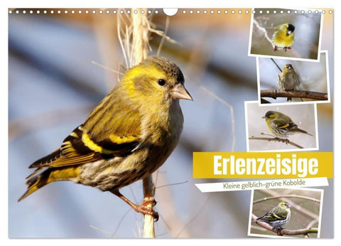 Erlenzeisige (Wandkalender 2027 DIN A3 quer), CALVENDO Monatskalender