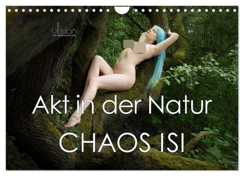 Akt in der Natur - Chaos Isi (Wandkalender 2027 DIN A4 quer), CALVENDO Monatskalender