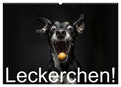 Leckerchen! (Wandkalender 2027 DIN A2 quer), CALVENDO Monatskalender