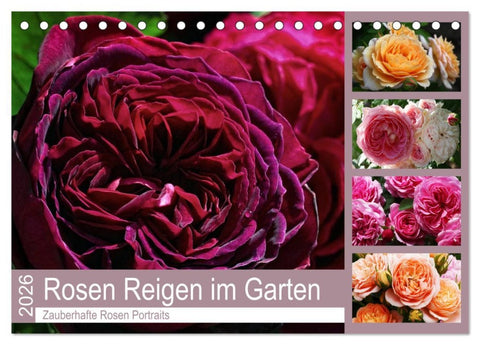Rosen Reigen im Garten (Tischkalender 2026 DIN A5 quer), CALVENDO Monatskalender