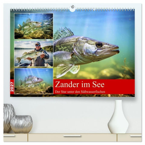 Zander im See (hochwertiger Premium Wandkalender 2027 DIN A2 quer), Kunstdruck in Hochglanz