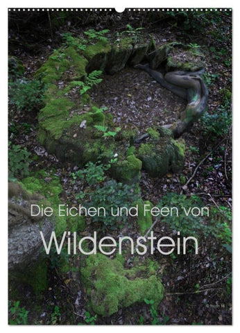 Die Eichen und Feen von Wildenstein (Wandkalender 2027 DIN A2 hoch), CALVENDO Monatskalender