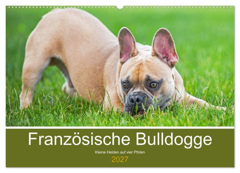 Französische Bulldogge - Kleine Helden auf vier Pfoten (Wandkalender 2027 DIN A2 quer), CALVENDO Monatskalender