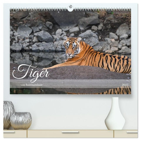 Tiger von Ranthambore (hochwertiger Premium Wandkalender 2027 DIN A2 quer), Kunstdruck in Hochglanz