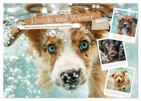 Hunde und Wasser (Wandkalender 2027 DIN A2 quer), CALVENDO Monatskalender