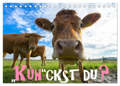 Kuhckst du? (Tischkalender 2026 DIN A5 quer), CALVENDO Monatskalender