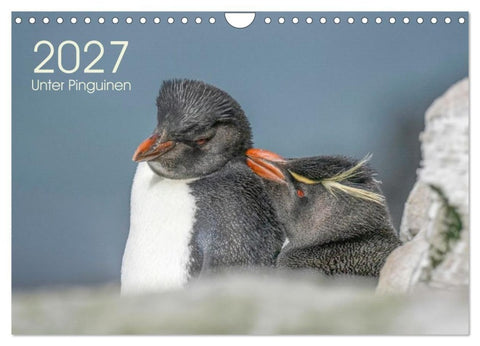 Unter Pinguinen (Wandkalender 2027 DIN A4 quer), CALVENDO Monatskalender