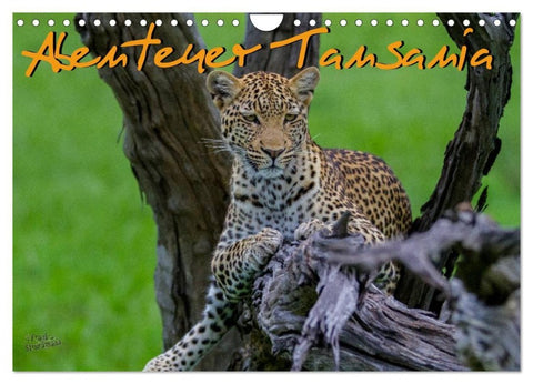Abenteuer Tansania, Afrika (Wandkalender 2027 DIN A4 quer), CALVENDO Monatskalender