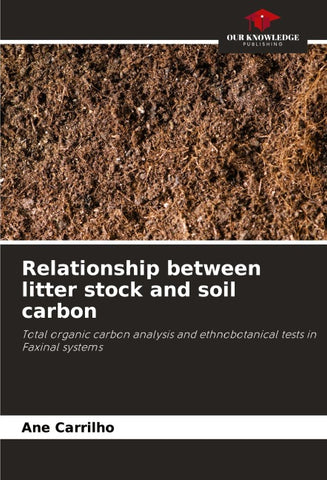 Relationship between litter stock and soil carbon